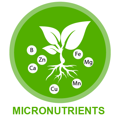 Micronutrients